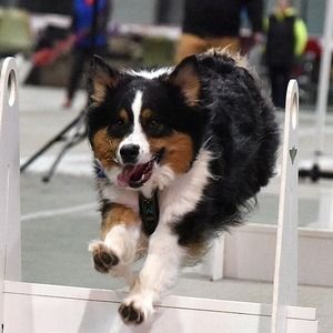 Meet your Posher, Deb